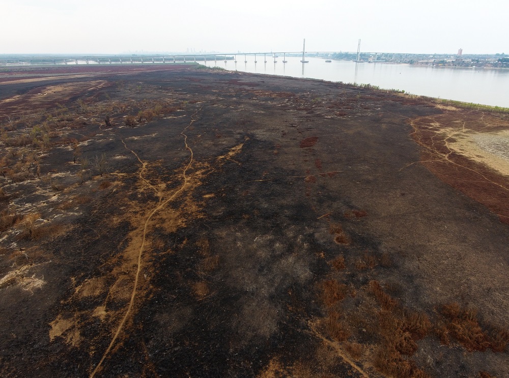 Tierra arrasada: desastre ambiental en las islas frente a Rosario
